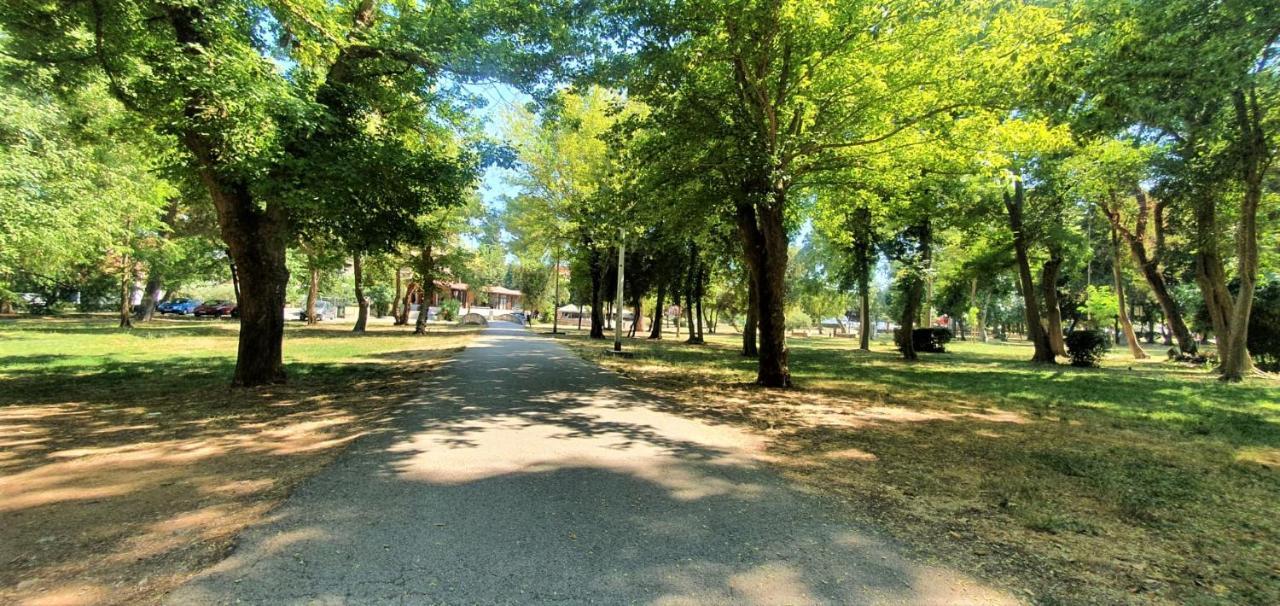 Apartment Fain - Private Parking ザダル エクステリア 写真